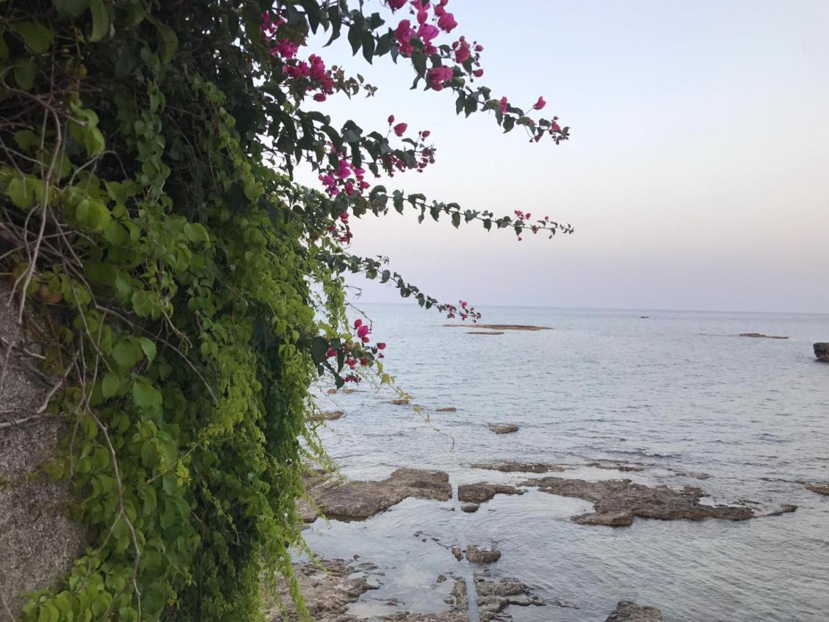 Casa Gaetano Villa Siraküza Dış mekan fotoğraf